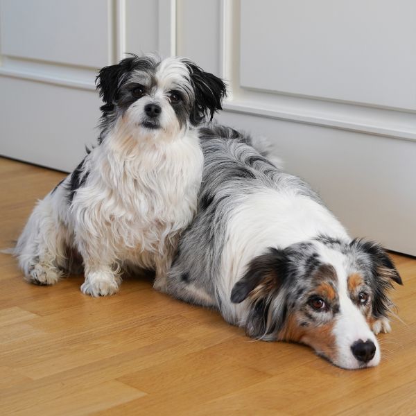 Ted & Anouk